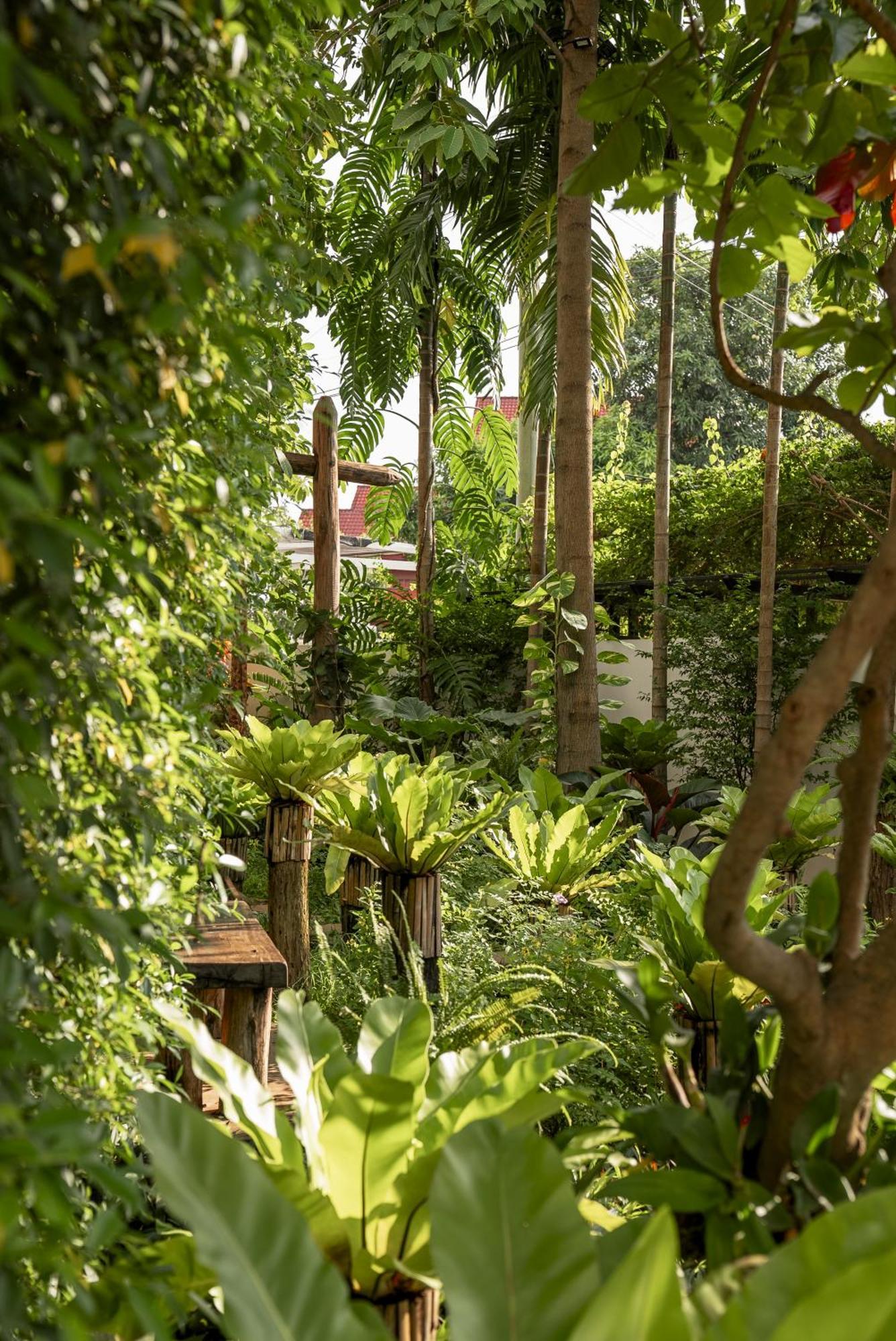 Sarai And Wander Hotel Siem Reap